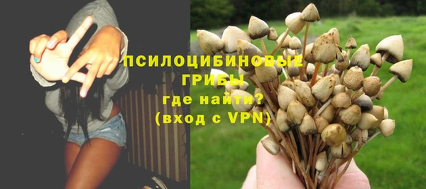 бутират Алексеевка